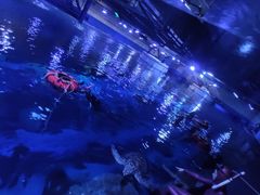 -成都浩海立方海洋公园