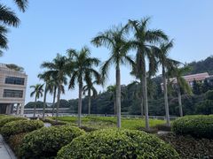 -厦门国家会计学院