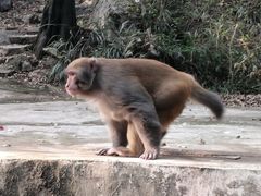 -贵阳龙洞堡国际机场-T2航站楼