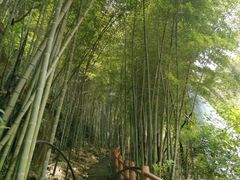 -藏龙百瀑风景区