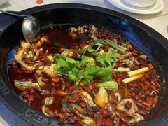 -蛙鱼潭美蛙鱼头火锅(解放碑瑞富广场店)