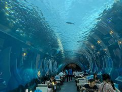 -涛·海底餐厅·美人鱼·自助餐·海底隧道(三亚海棠湾洲际度假酒店)