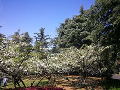 -白塘生态植物园