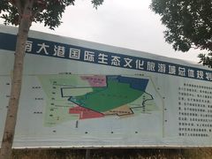 -南大港湿地风景区