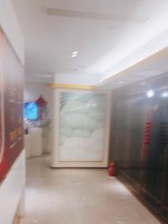 -金夫人美容