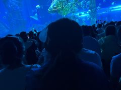 -哈尔滨波塞冬海底世界