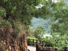 -羚羊峡古栈道森林公园