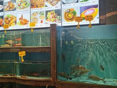 -怀德酒楼·粤菜·海鲜·茶点(宝安国际机场店)