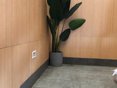 -醉得意·家常菜(二七路店)