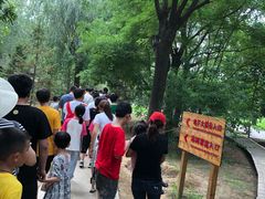 -泰安地下龙宫景区