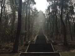 -东湖磨山景区