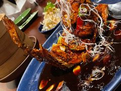 糖醋脆皮黄花鱼-君悦酒店·1881·北京烤鸭