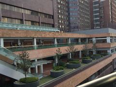 -香港大学