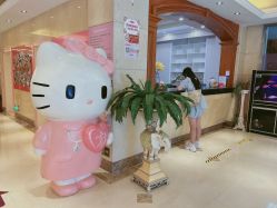 -北京俪婴妇产医院(朝阳大悦城店)