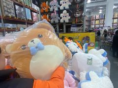 -山姆会员商店(亦庄创意生活广场店)