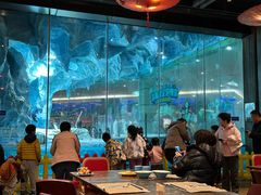 -帝企鹅自助餐厅•儿童岛•真企鹅(长隆企鹅酒店)