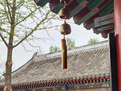 -护国天仙圣母庙