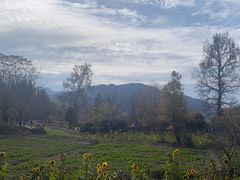 -塔川景区