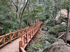-大岭沟猕猴桃谷风景区