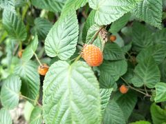 -重庆雨台山风景区