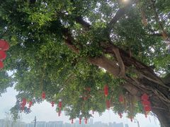 -碧桂园十里银滩