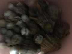 -阿杰臻选海鲜饭店(普陀山店)