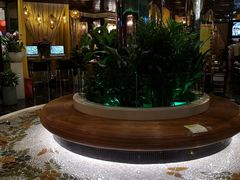 -润园四季椰子鸡火锅(海上世界店)