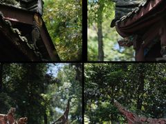 -都江堰普照寺