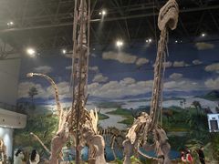 -自贡恐龙博物馆