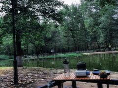 -渭河城市绿地运动公园