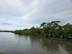 -东寨港红树林旅游区