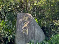 -福建鲤鱼洲酒店