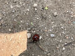 -碓臼峪自然风景区