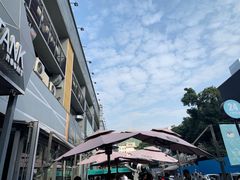 -野萃山·潮汕厚果汁(十亩地店)