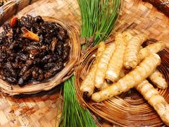 -昆虫窝子·特色云南菜(拓东路总店)