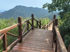 -大岭沟猕猴桃谷风景区