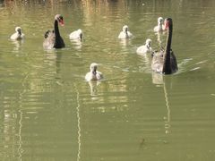 -昆山城市生态森林公园