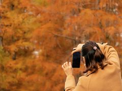 -白鹭湾湿地公园