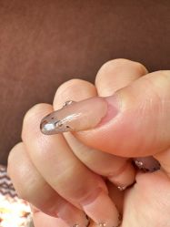 -尤米一站式美甲美睫