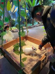 -酷嗒动物文化乐园(cutezoo西溪乐天城店)