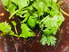 -阿巧一号私房菜(止园路店)