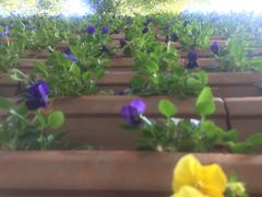 -云南民族大观园