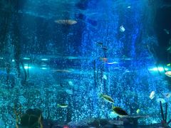 -沈阳海洋探索中心