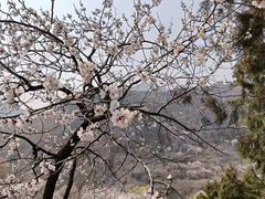 -居庸关长城