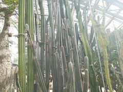 -南山植物园