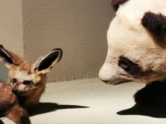 -深圳博物馆历史民俗馆