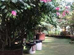 -呀路古热带植物园