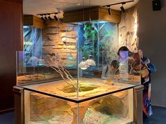 -帕帕拉兹宠物(亚洲旗舰店)