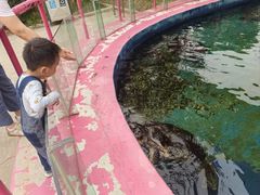 -北戴河圣蓝海洋公园