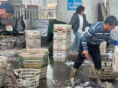 -中国舟山国际水产城